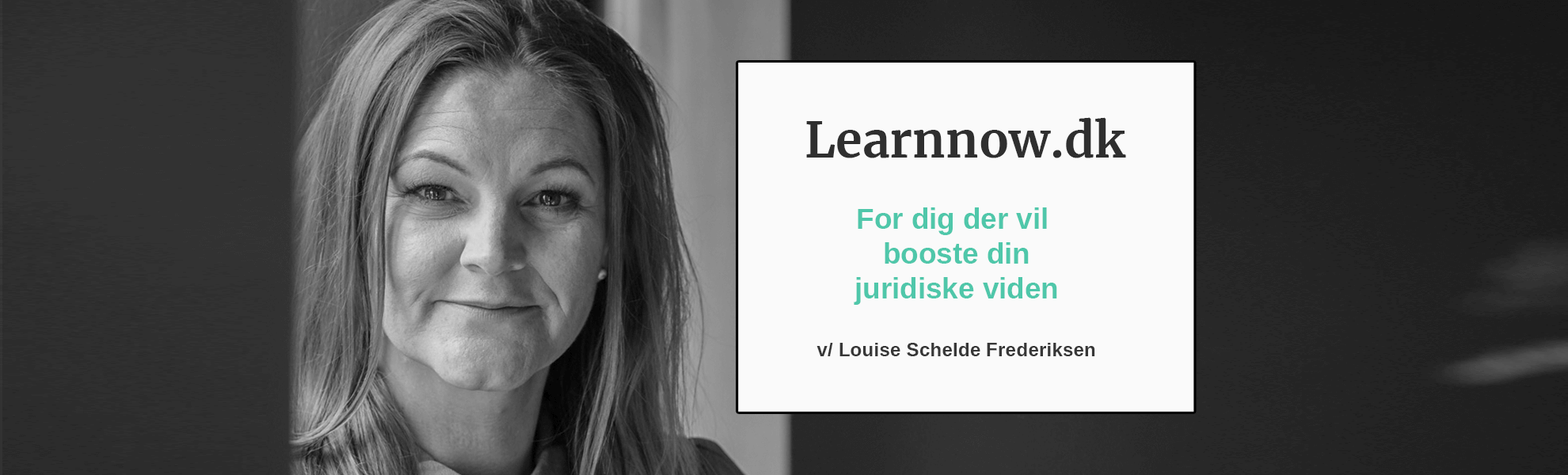 Learnnow.dk banner